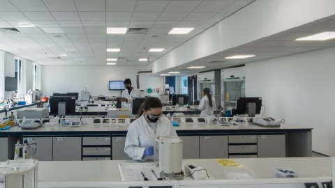 researchers working in a lab
